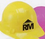 promotional Hard Hats