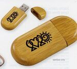 Custom Imprinted Eco Friendly Promotional USB Drives