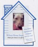 promotional Picture Frame Magnets