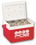promotional Picnic Coolers